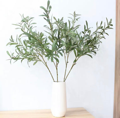 Olive Tree Branch Bunch